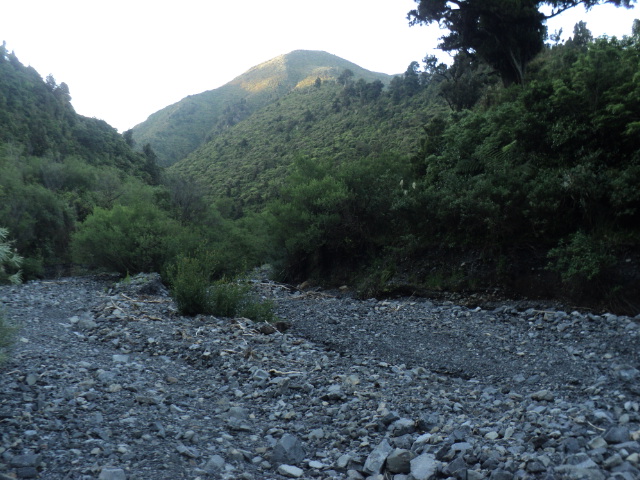 Name:  picture 01 2298.jpg
Views: 276
Size:  165.0 KB