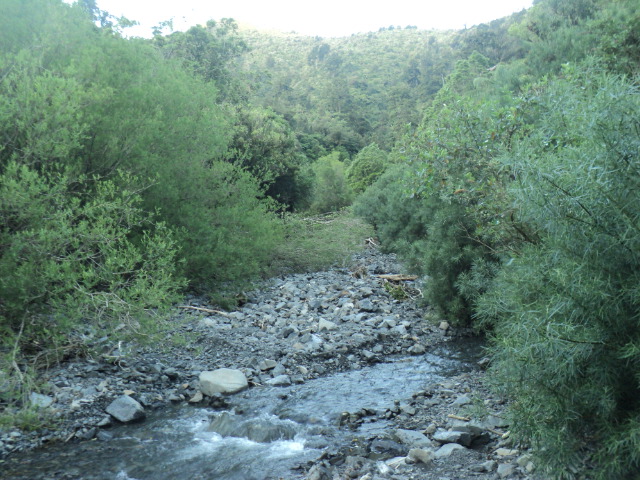 Name:  picture 01 2299.jpg
Views: 242
Size:  165.1 KB