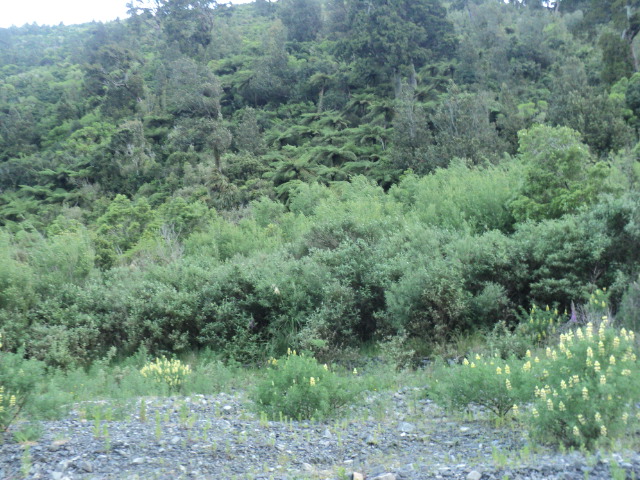 Name:  picture 01 2301.jpg
Views: 284
Size:  164.6 KB
