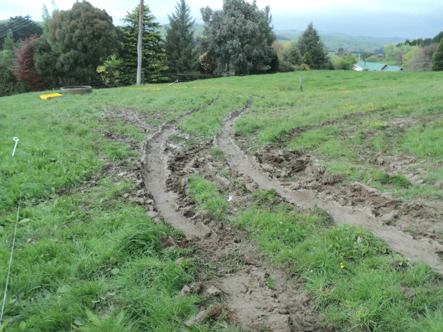 Name:  picture 01 4326.jpg
Views: 545
Size:  163.6 KB