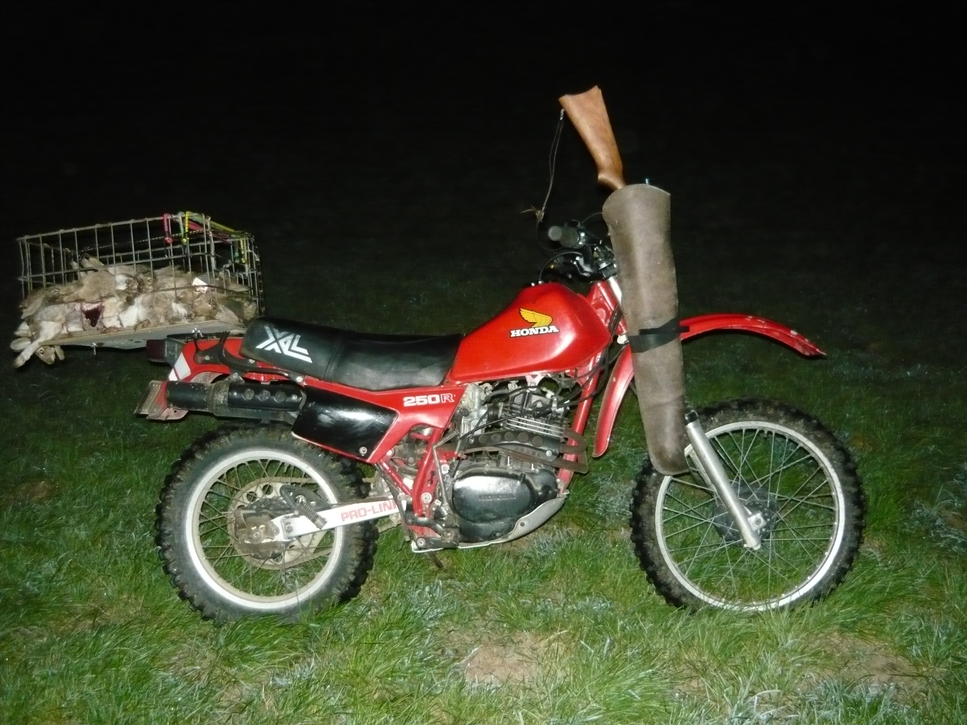 Name:  Honda with rabbits.JPG
Views: 1398
Size:  3.26 MB