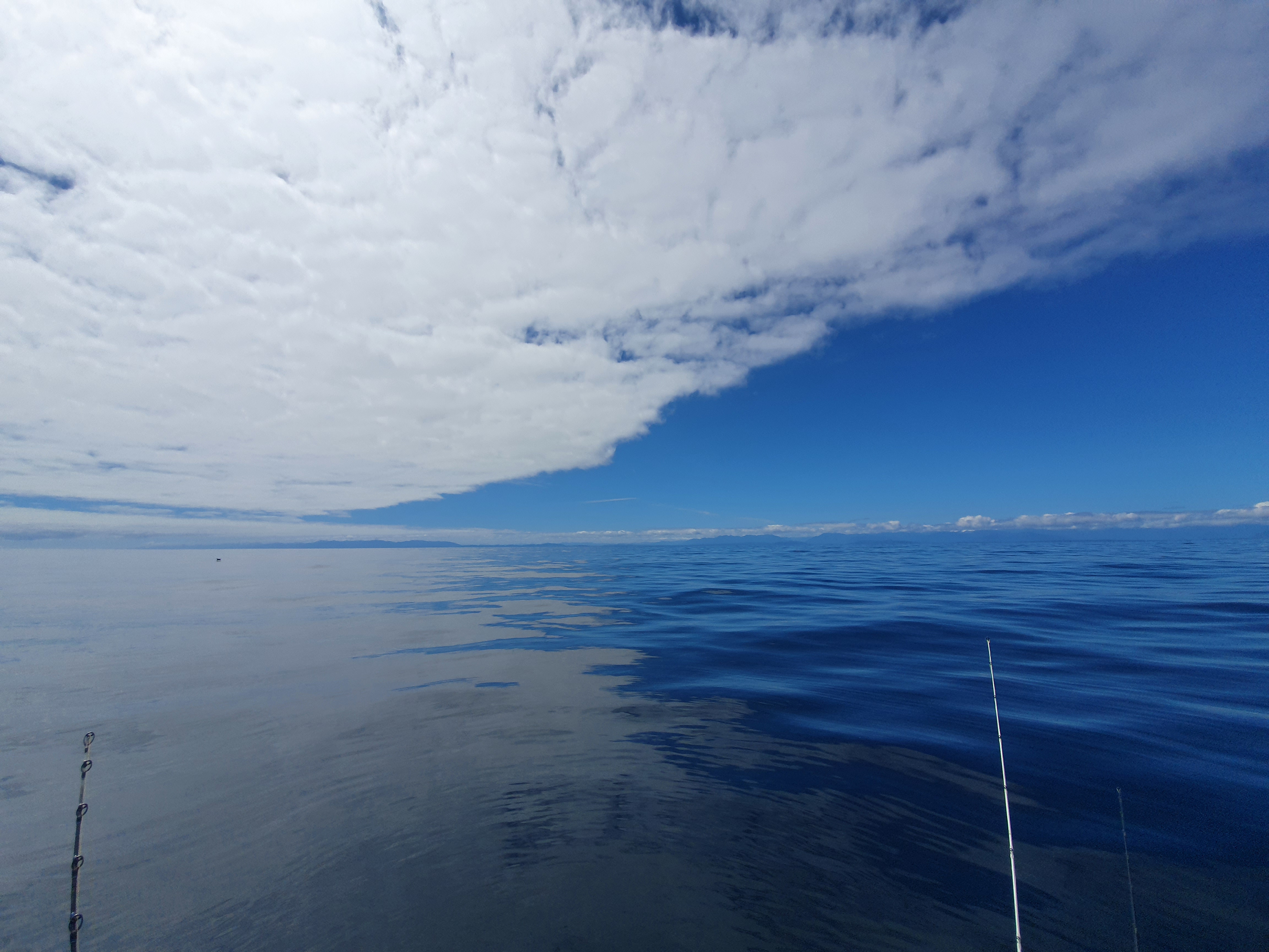 Name:  20201023_121656.jpg
Views: 256
Size:  3.43 MB