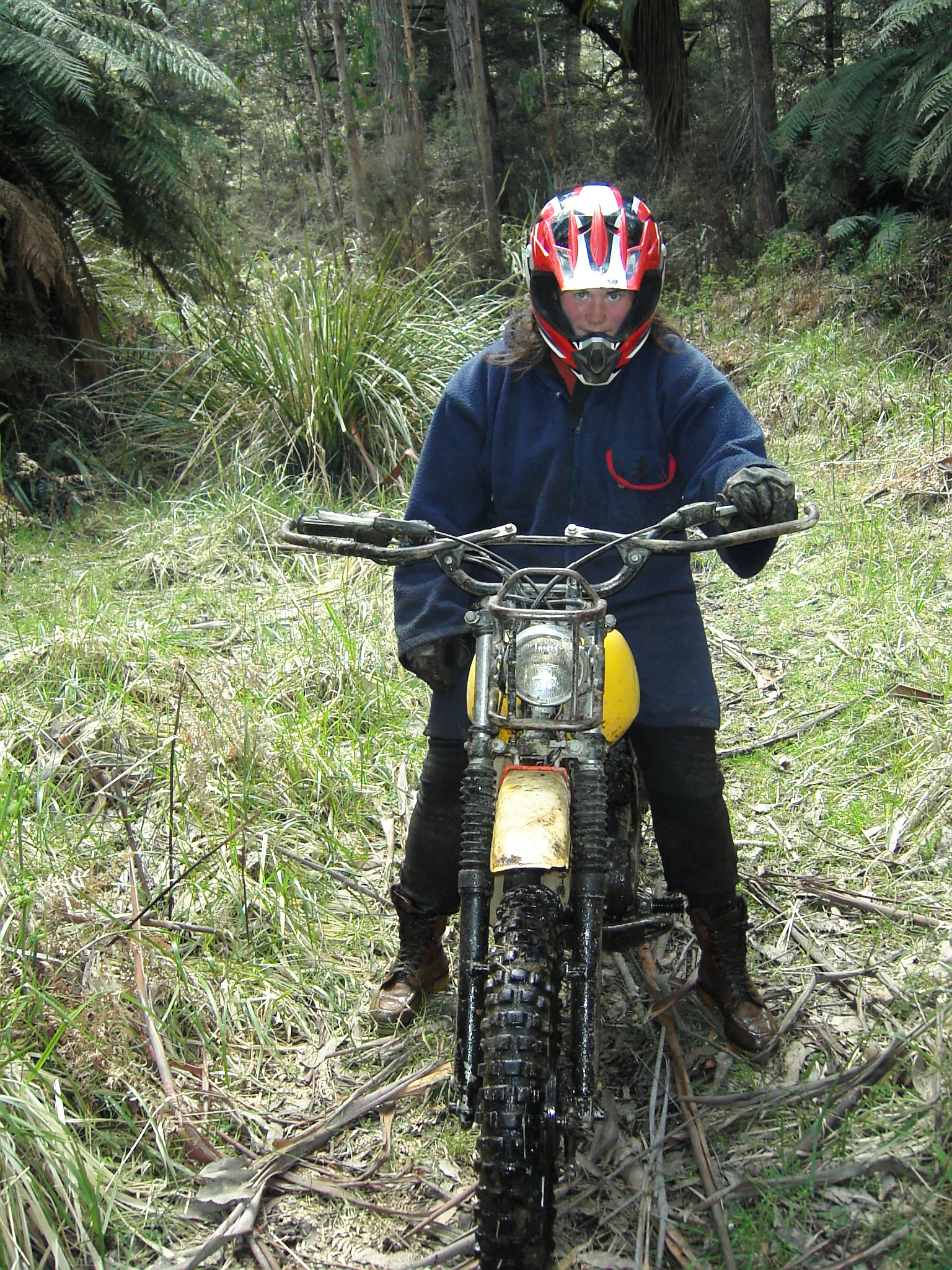 Name:  the unkillable Mudbug.JPG
Views: 2493
Size:  1.43 MB