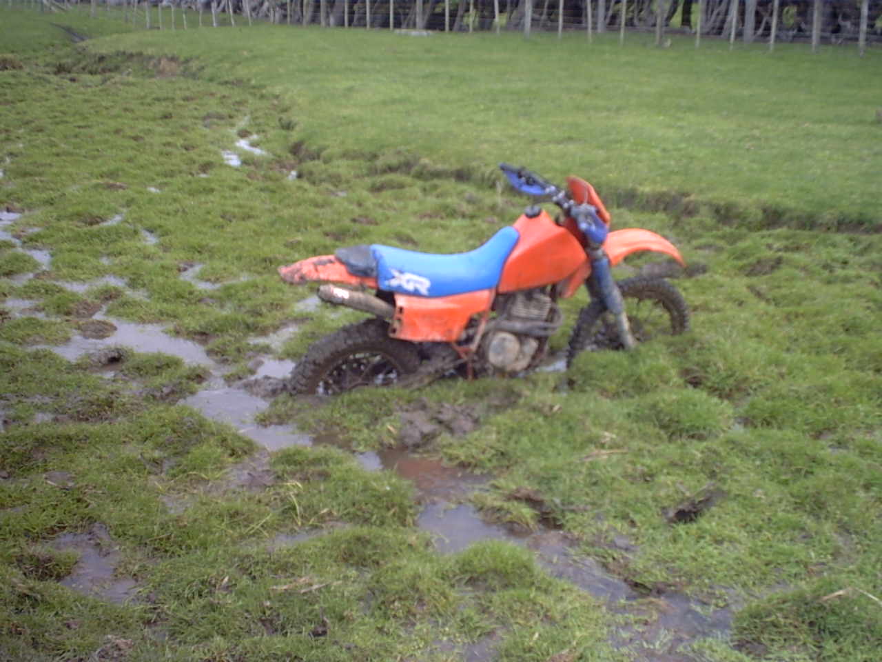 Name:  XR500 Stuck in Mud Karori Rock.jpg
Views: 2206
Size:  107.9 KB