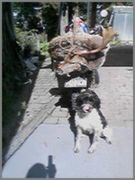 Name:  deer_and_bike. 2.jpg
Views: 607
Size:  6.7 KB