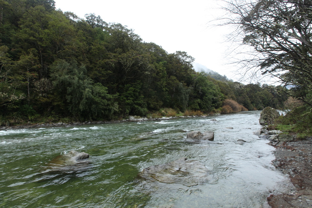 Name:  IMG_2941.JPG
Views: 202
Size:  332.0 KB