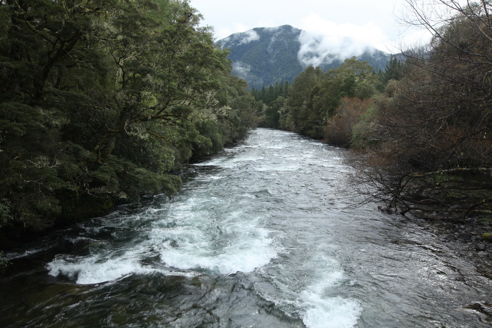Name:  IMG_2956.JPG
Views: 204
Size:  317.3 KB