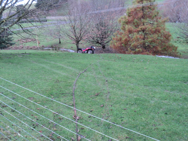Name:  picture 3896.jpg
Views: 1060
Size:  164.3 KB
