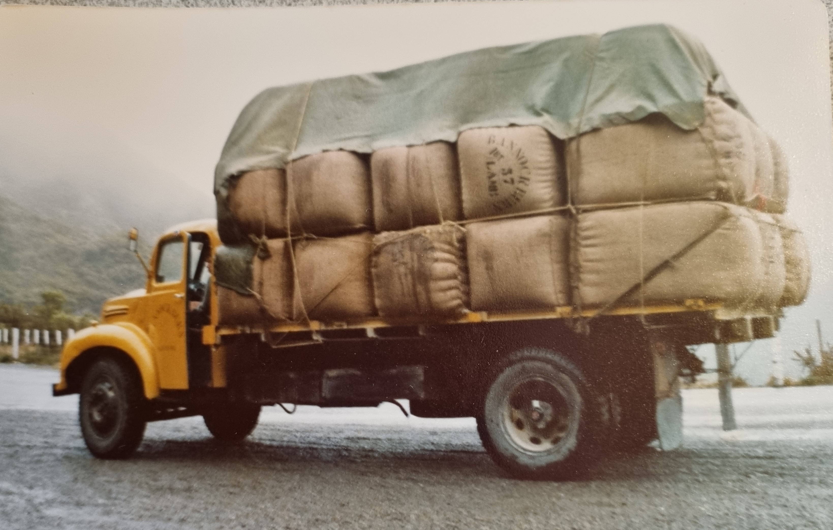 Name:  Dodge wool run.jpg
Views: 321
Size:  1.24 MB