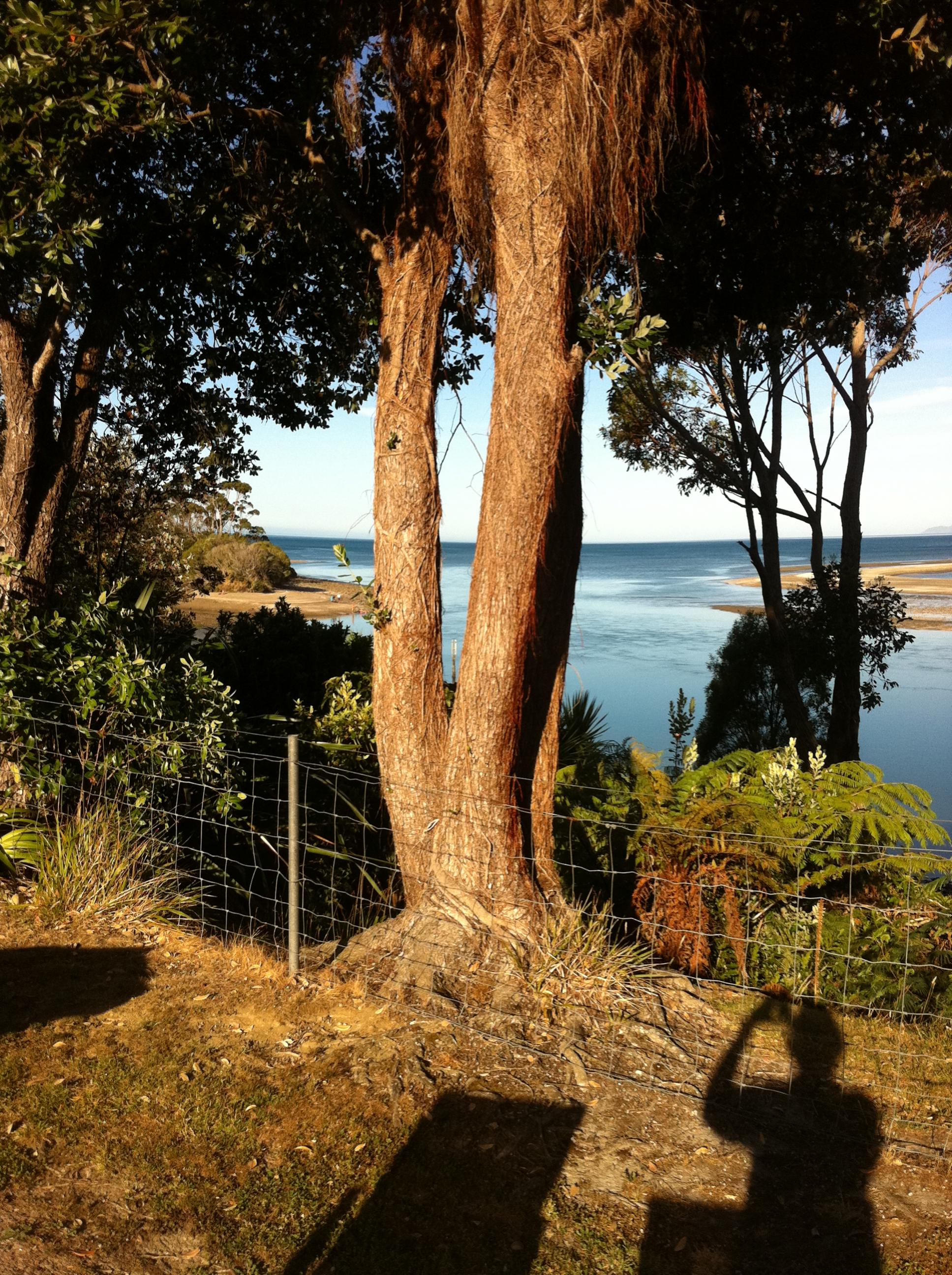 Name:  048.jpg
Views: 524
Size:  963.8 KB