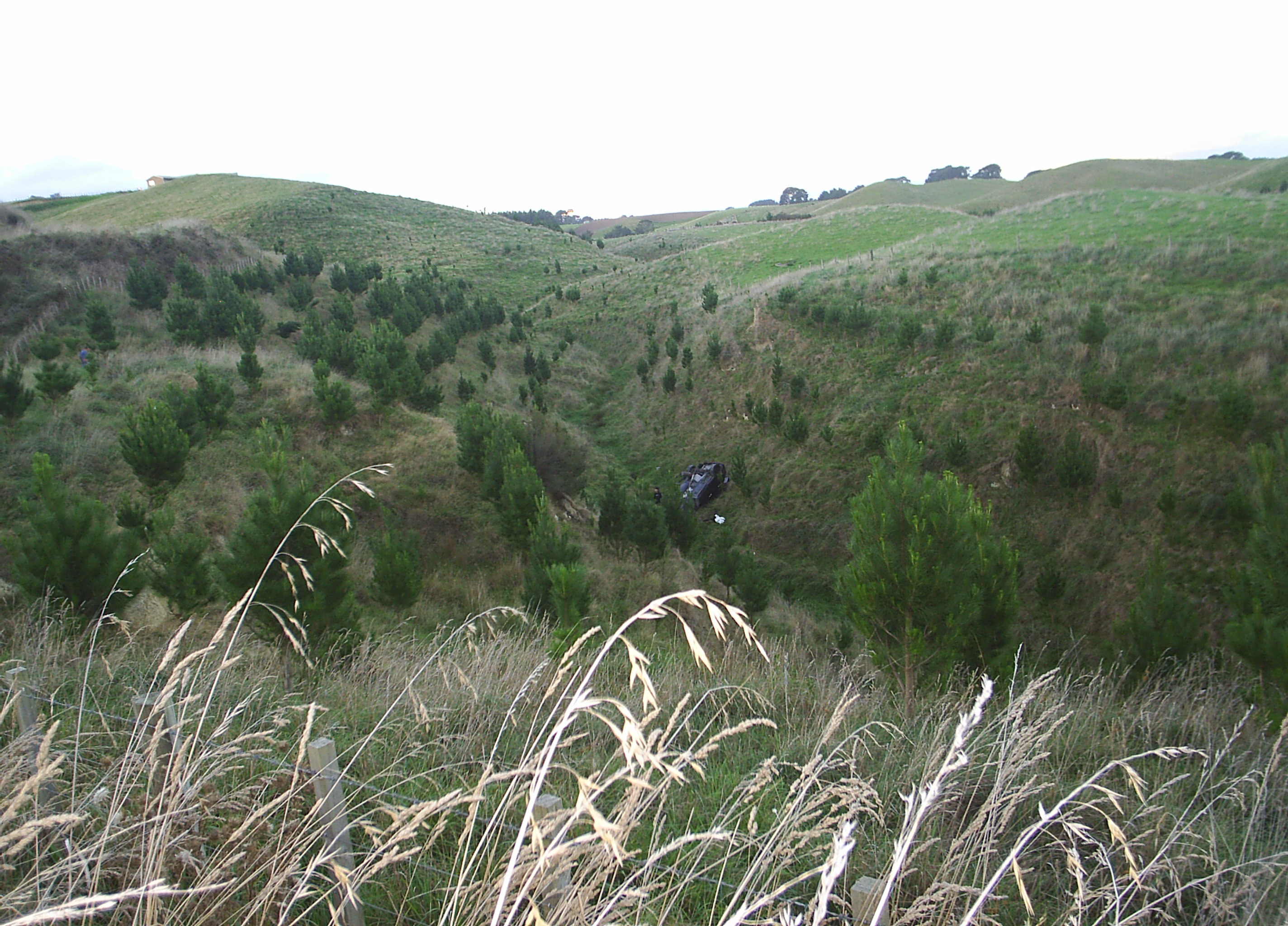 Name:  picture 9741.JPG
Views: 262
Size:  1.06 MB