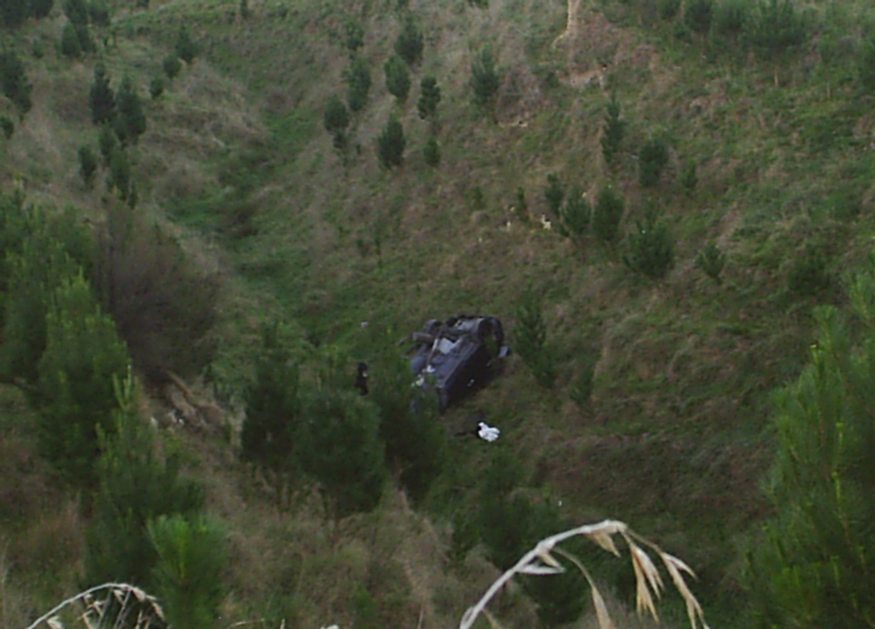 Name:  picture 9742.JPG
Views: 262
Size:  542.3 KB
