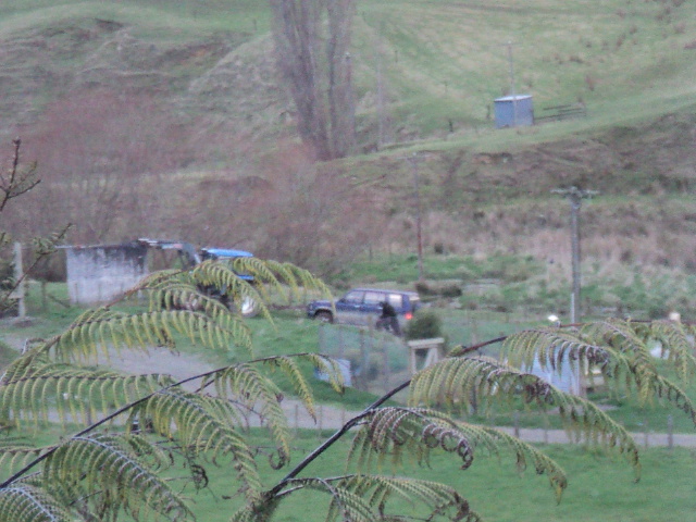 Name:  picture 4183.jpg
Views: 818
Size:  162.8 KB