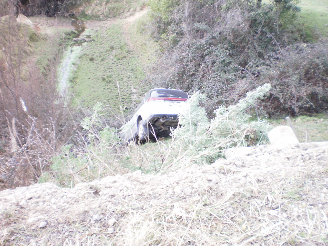 Name:  P8281913.JPG
Views: 885
Size:  289.8 KB