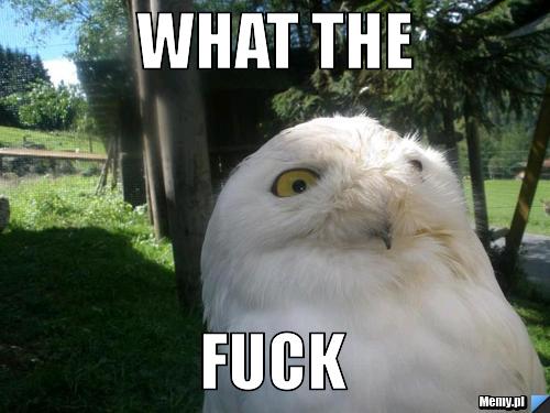 Name:  4bbd62190_what_the_.jpg
Views: 581
Size:  32.3 KB