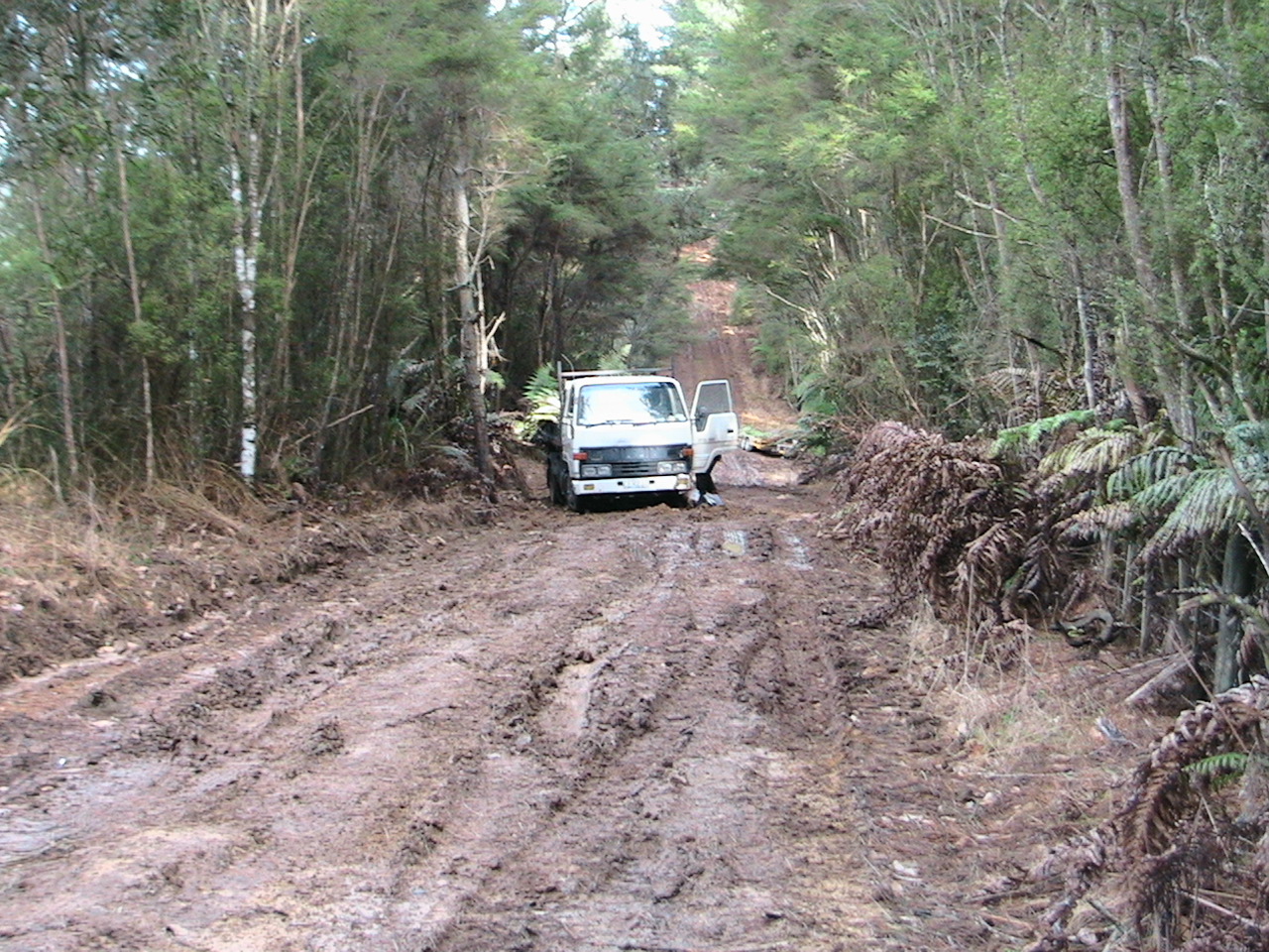 Name:  IMG_1524.JPG
Views: 789
Size:  550.3 KB