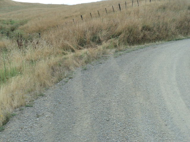 Name:  picture 7872.jpg
Views: 521
Size:  164.1 KB