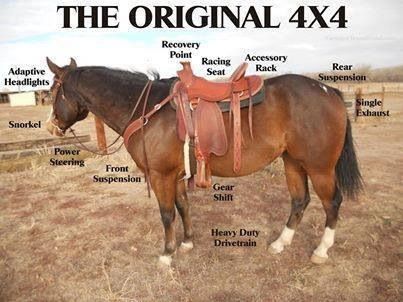 Name:  4x4.jpg
Views: 547
Size:  29.3 KB