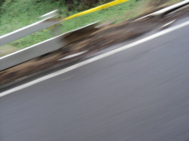 Name:  picture 8561.jpg
Views: 602
Size:  160.4 KB