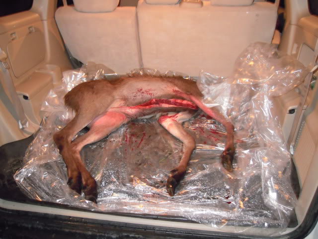 Name:  DSCN0546.jpg
Views: 458
Size:  66.7 KB