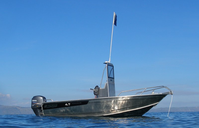 Name:  surtees.jpg
Views: 1599
Size:  42.1 KB