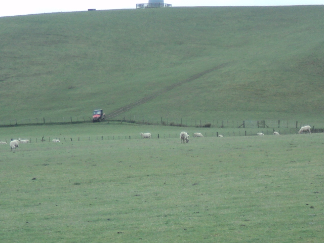 Name:  picture 8970.jpg
Views: 758
Size:  165.1 KB
