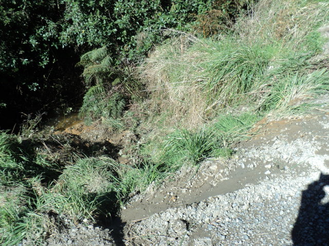 Name:  picture 9081.jpg
Views: 580
Size:  165.3 KB