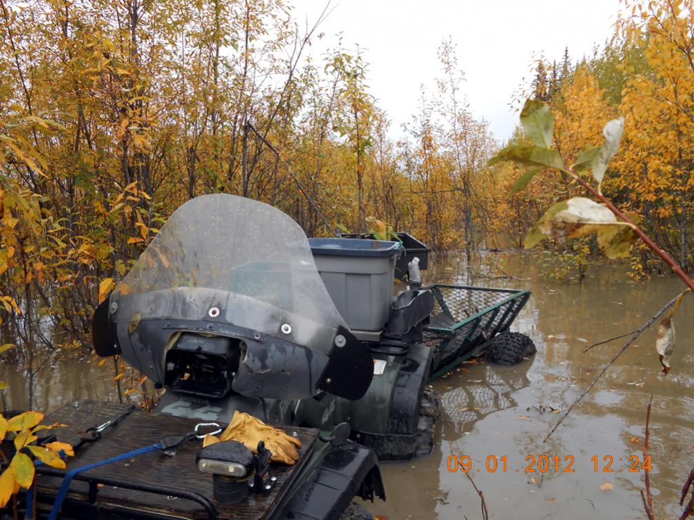 Name:  moose camp submerged c.jpg
Views: 398
Size:  157.4 KB