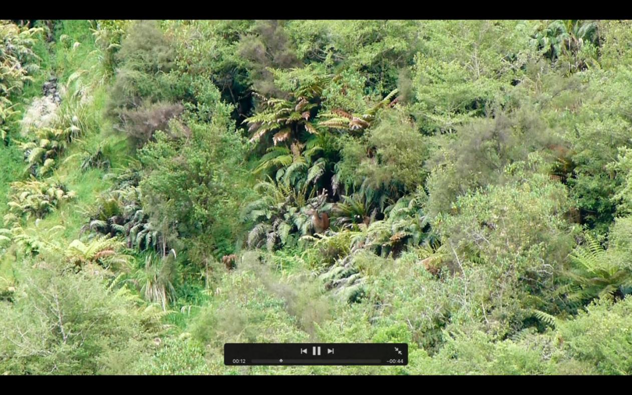 Name:  Screen Shot 2016-11-29 at 7.29.21 PM.jpg
Views: 316
Size:  208.8 KB