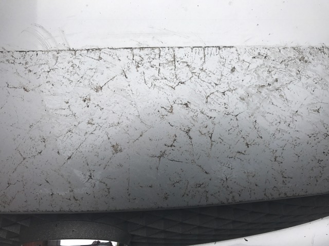 Name:  IMG_2528.JPG
Views: 2061
Size:  85.2 KB
