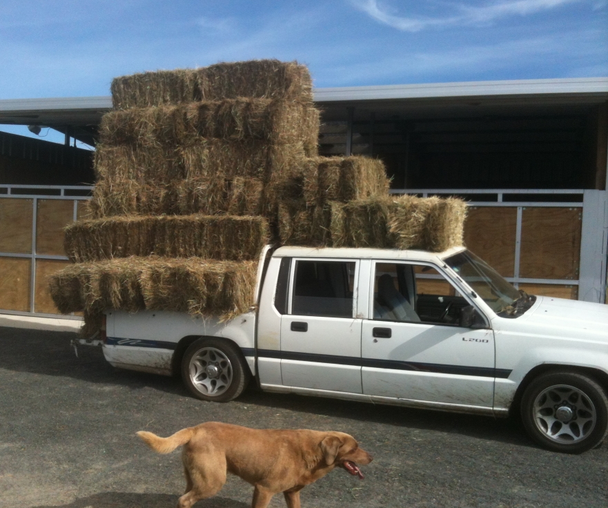 Name:  38 Bales .JPG
Views: 429
Size:  481.4 KB