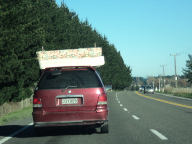 Name:  picture 01 1187.jpg
Views: 438
Size:  164.0 KB