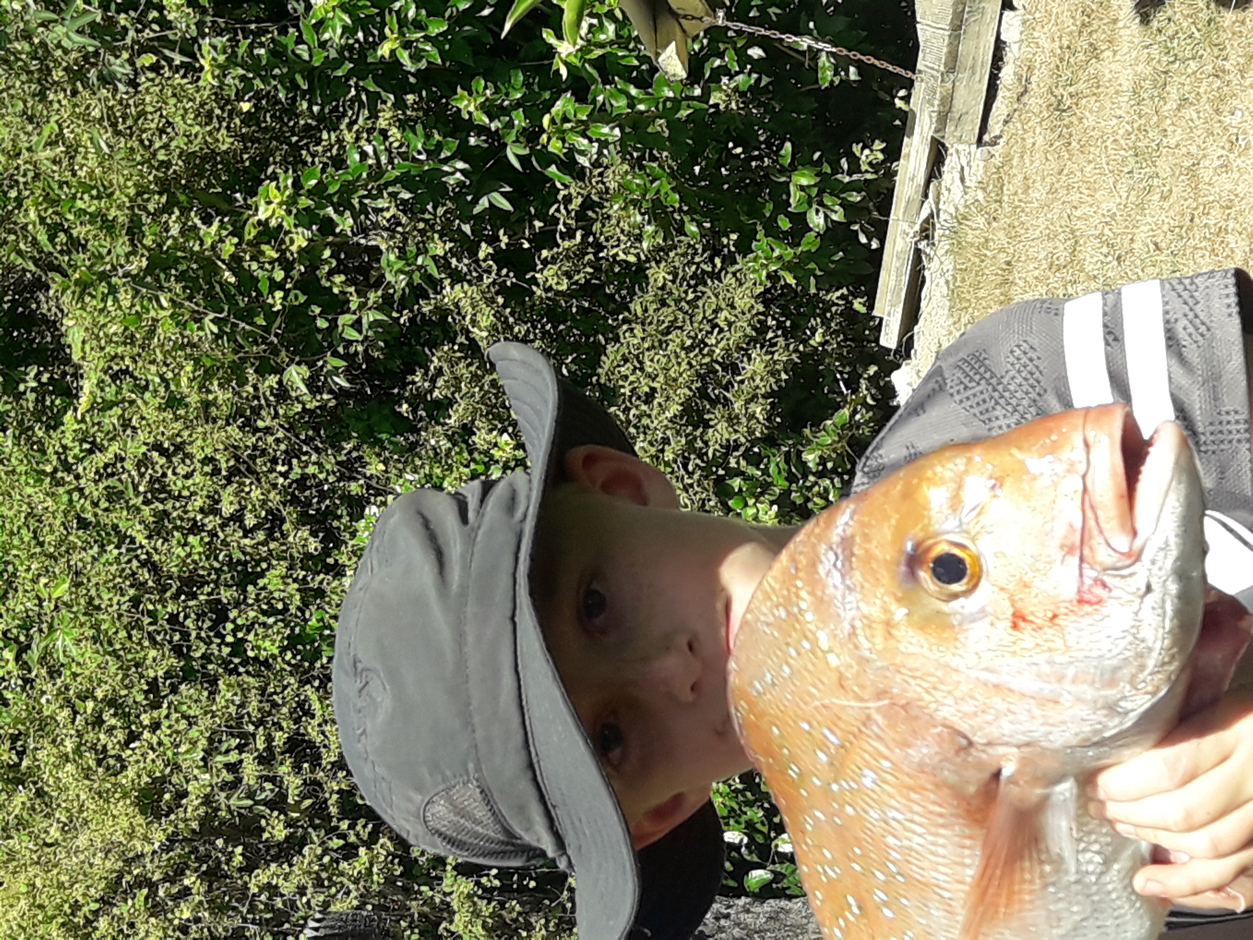 Name:  20190223_153722.jpg
Views: 297
Size:  4.83 MB