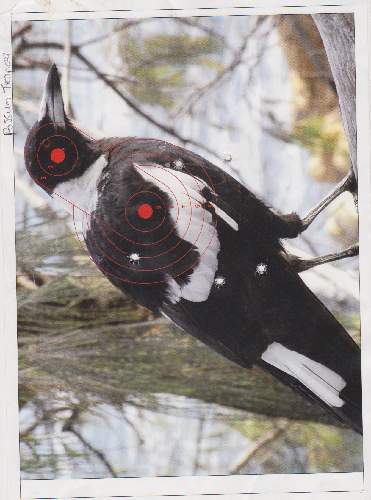 Name:  picture 2318.jpg
Views: 351
Size:  271.0 KB