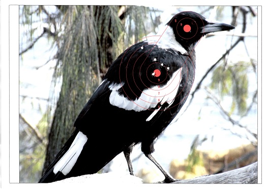 Name:  Magpie.jpg
Views: 338
Size:  93.4 KB