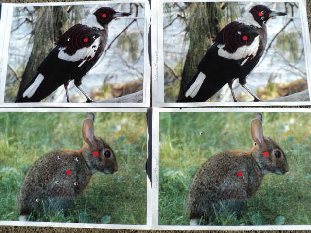 Name:  picture 207.jpg
Views: 231
Size:  164.1 KB