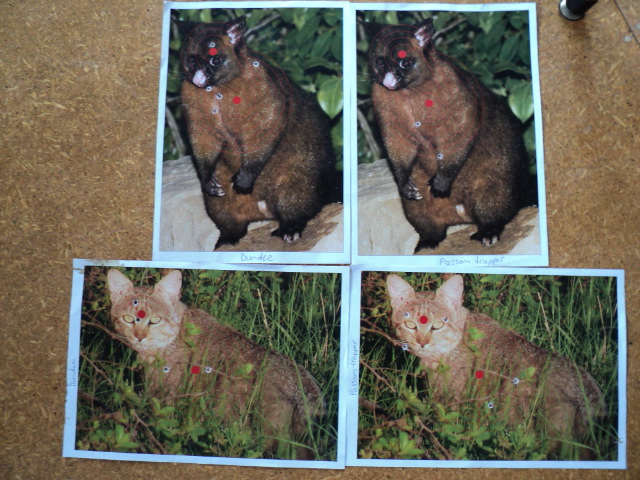 Name:  picture 211.jpg
Views: 222
Size:  165.1 KB