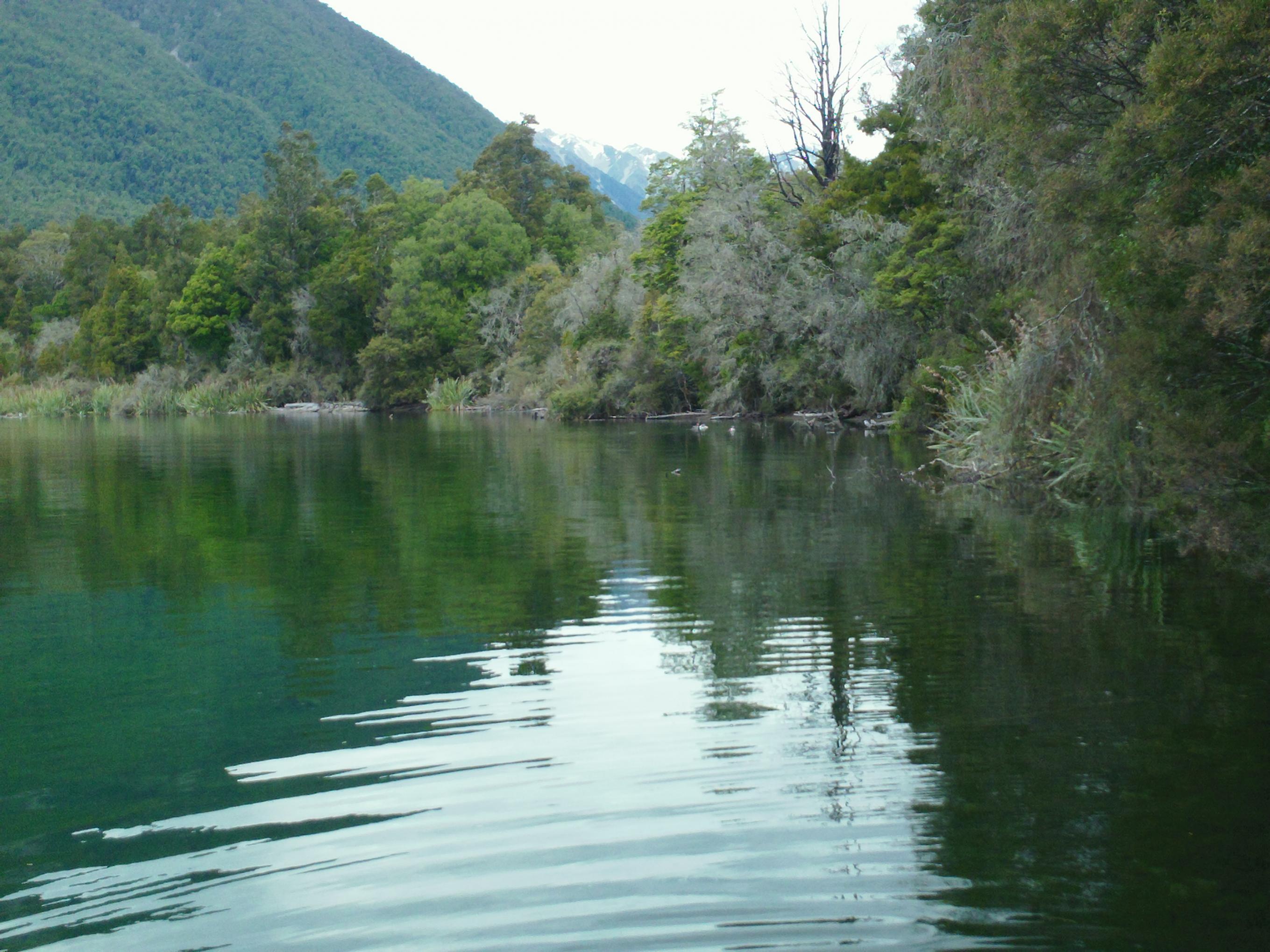 Name:  SAM_0427 - Copy.jpg
Views: 224
Size:  577.0 KB