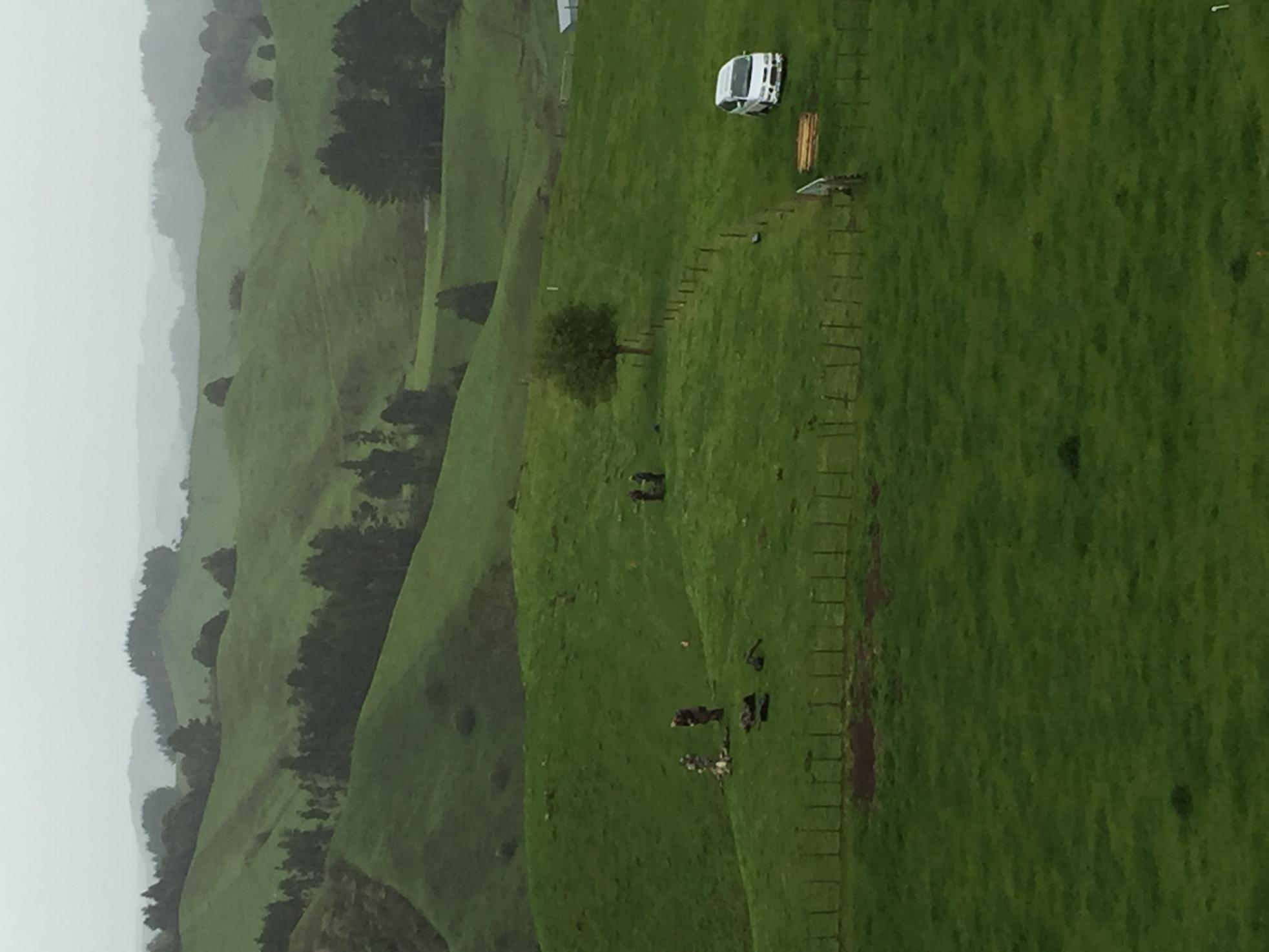 Name:  image.jpg
Views: 239
Size:  163.6 KB