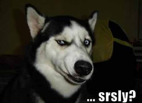 Name:  seriously.jpg
Views: 381
Size:  27.3 KB