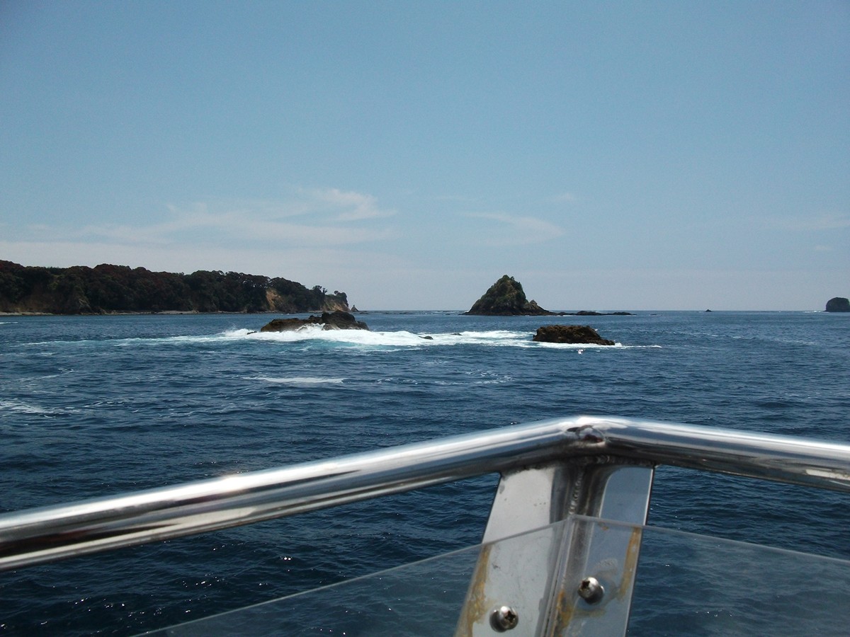 Name:  Picture 2 260.jpg
Views: 210
Size:  232.0 KB