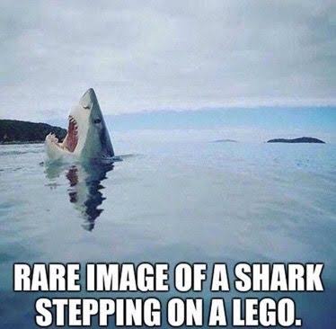 Name:  images (4).jpeg
Views: 655
Size:  18.4 KB