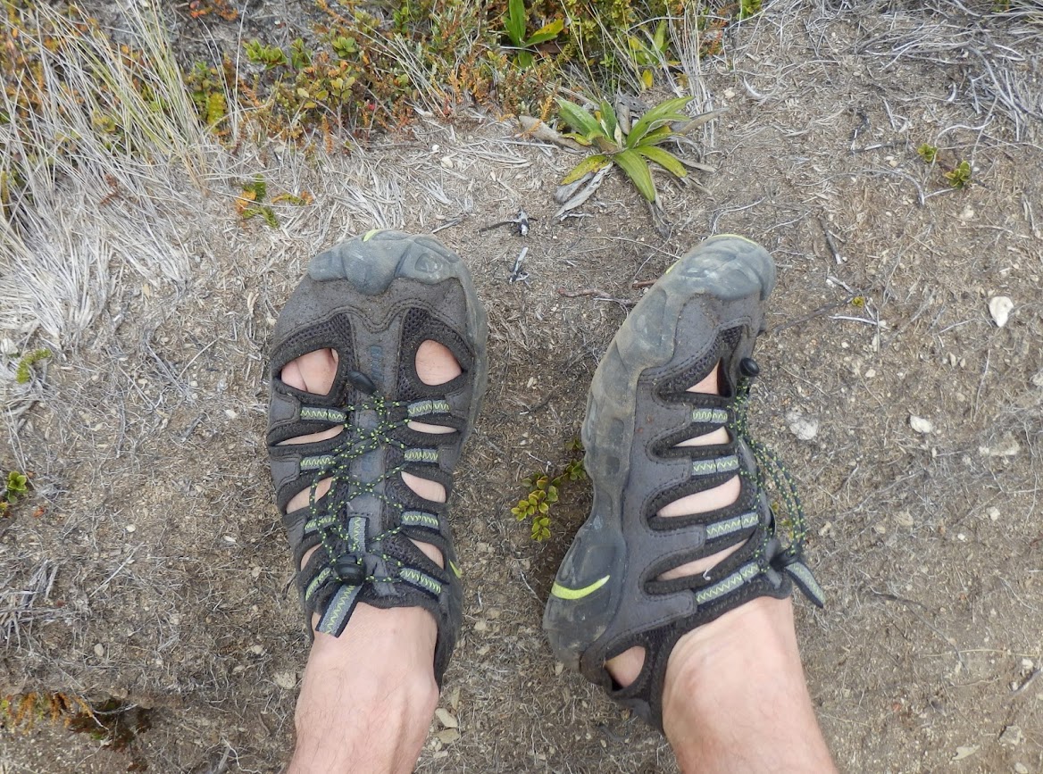 Name:  shoes.JPG
Views: 790
Size:  416.4 KB