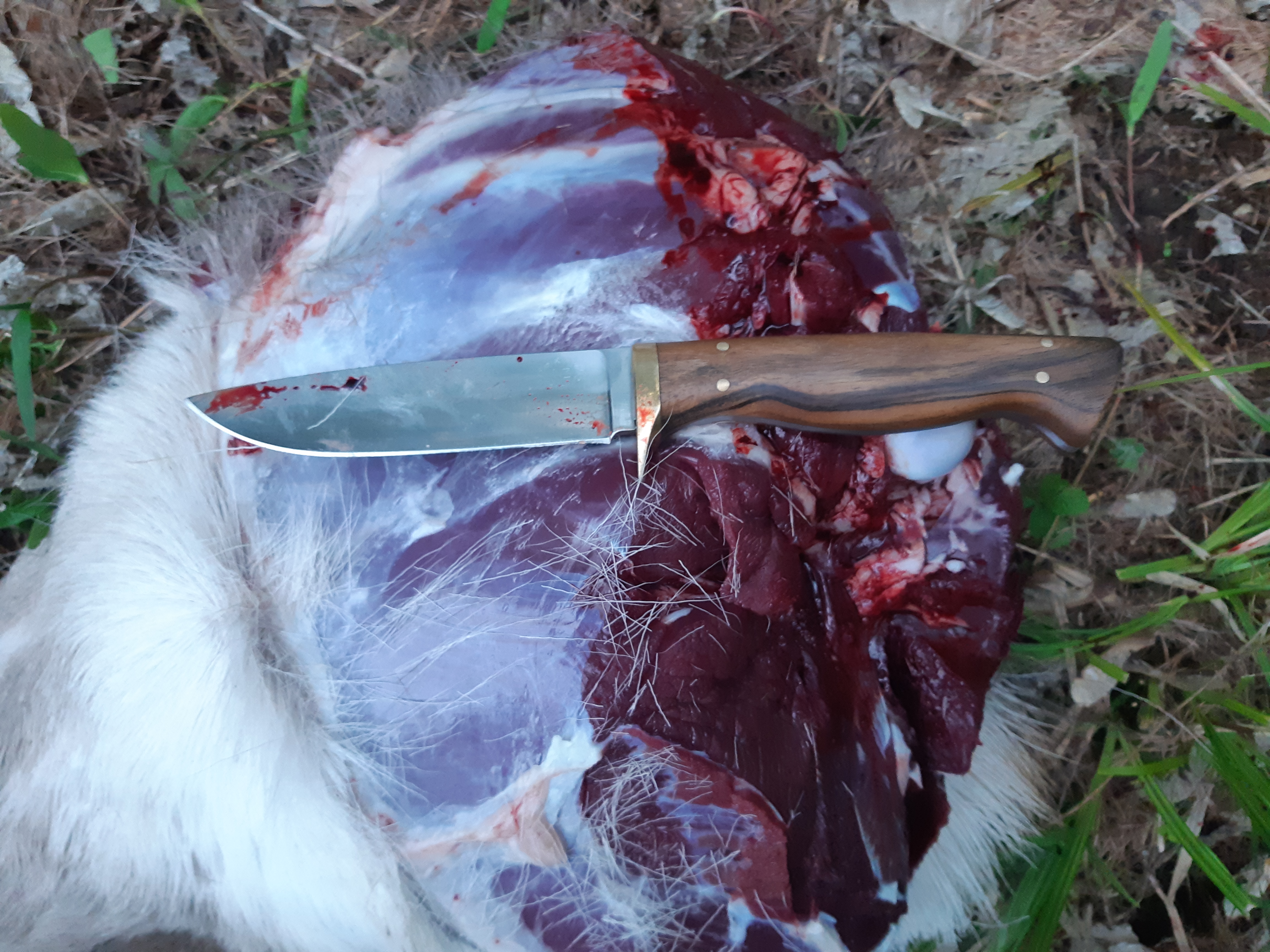 Name:  Knifework.jpg
Views: 659
Size:  4.73 MB