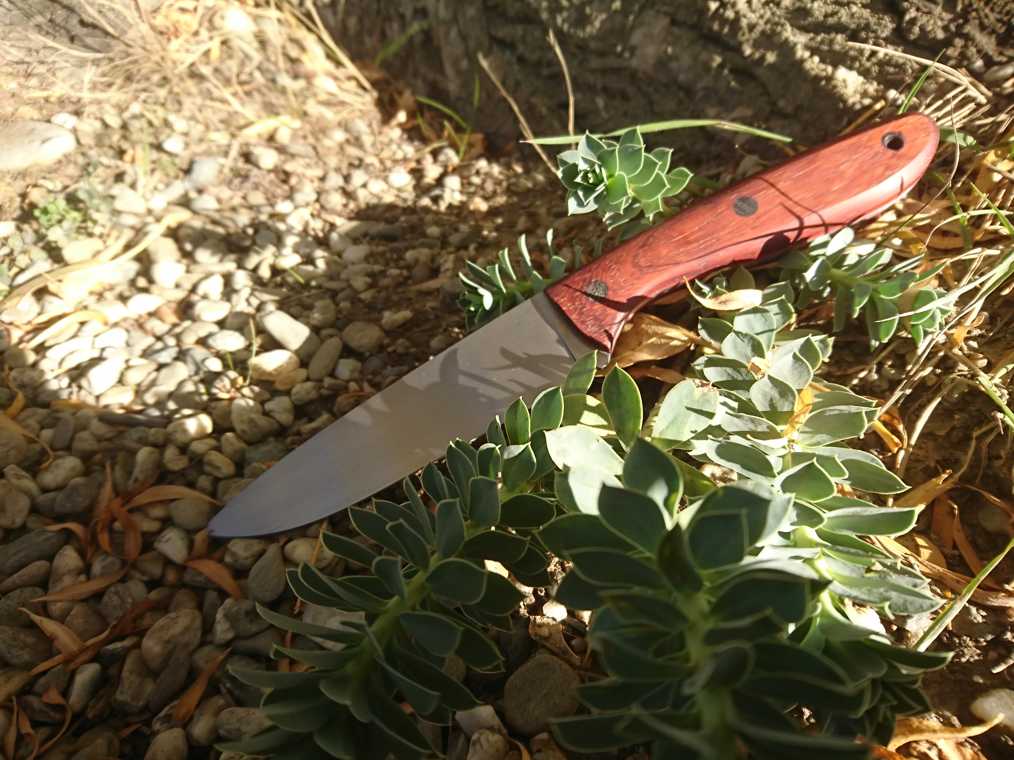 Name:  Muzz Boomslang.JPG
Views: 514
Size:  3.14 MB