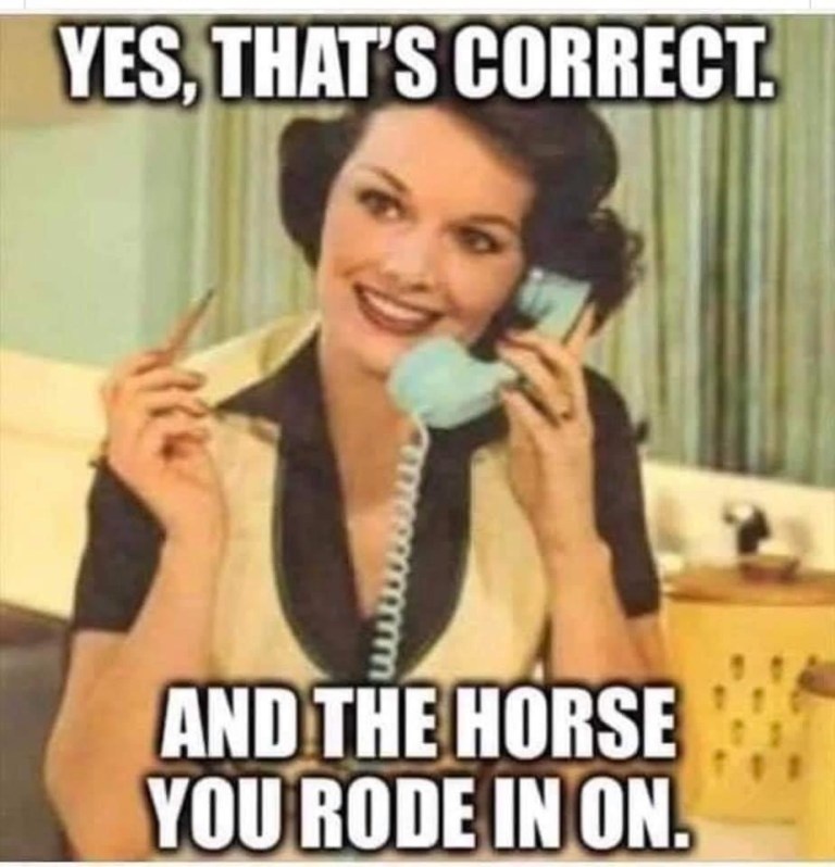 Name:  Horse.jpg
Views: 241
Size:  112.5 KB