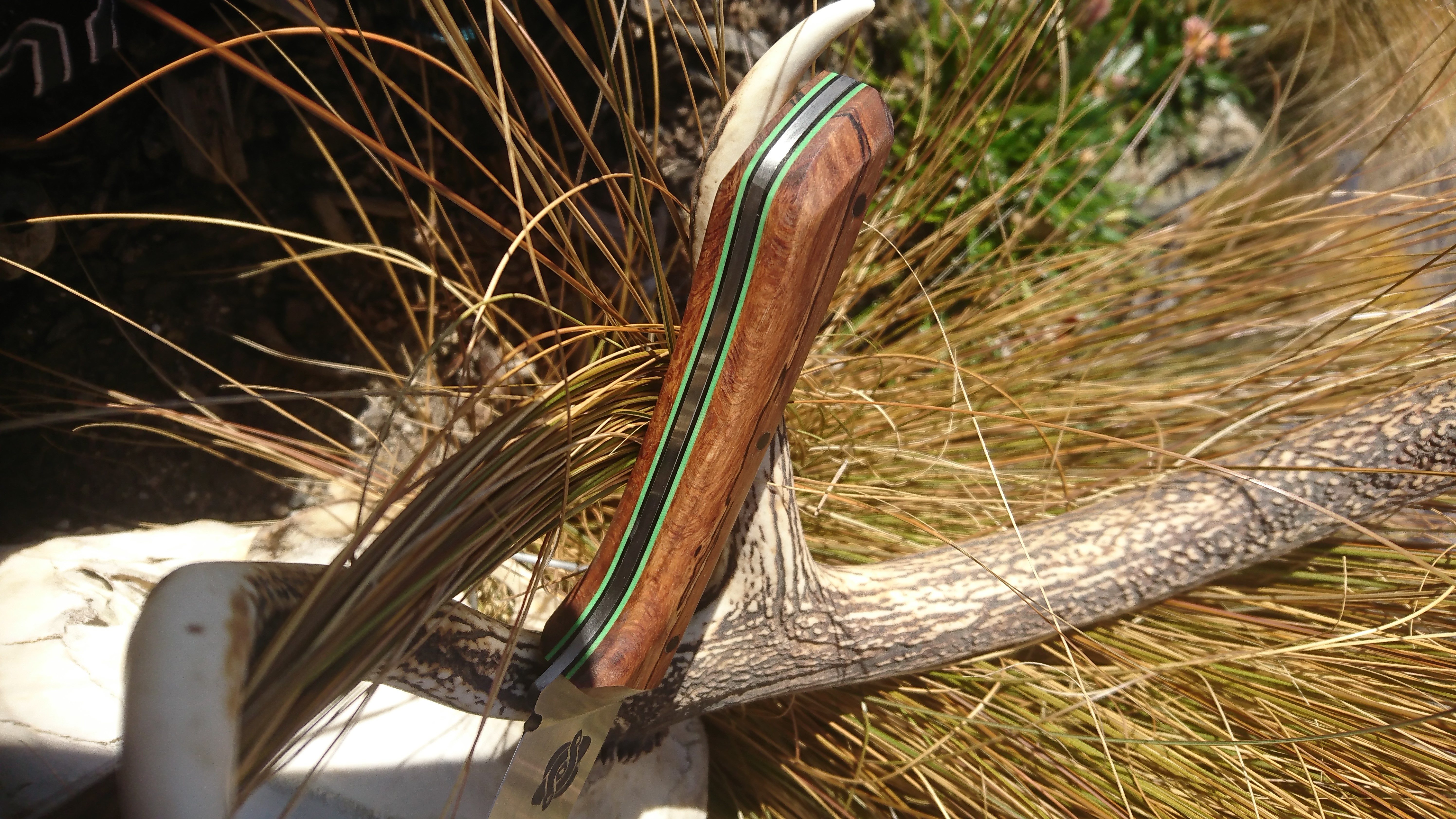 Name:  Boomslang toxic green.JPG
Views: 578
Size:  4.13 MB