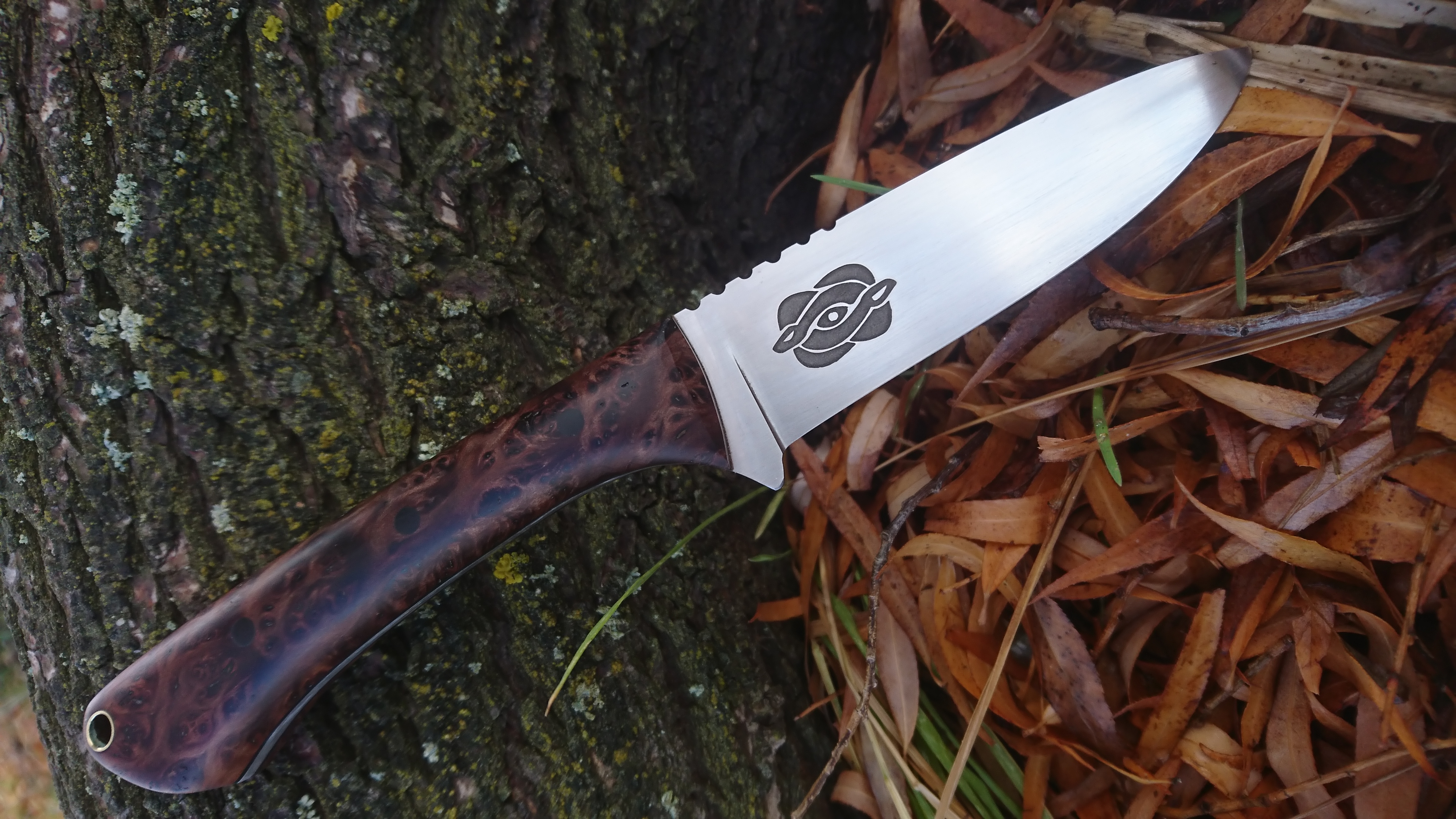 Name:  Totara burl hunter.JPG
Views: 480
Size:  3.17 MB
