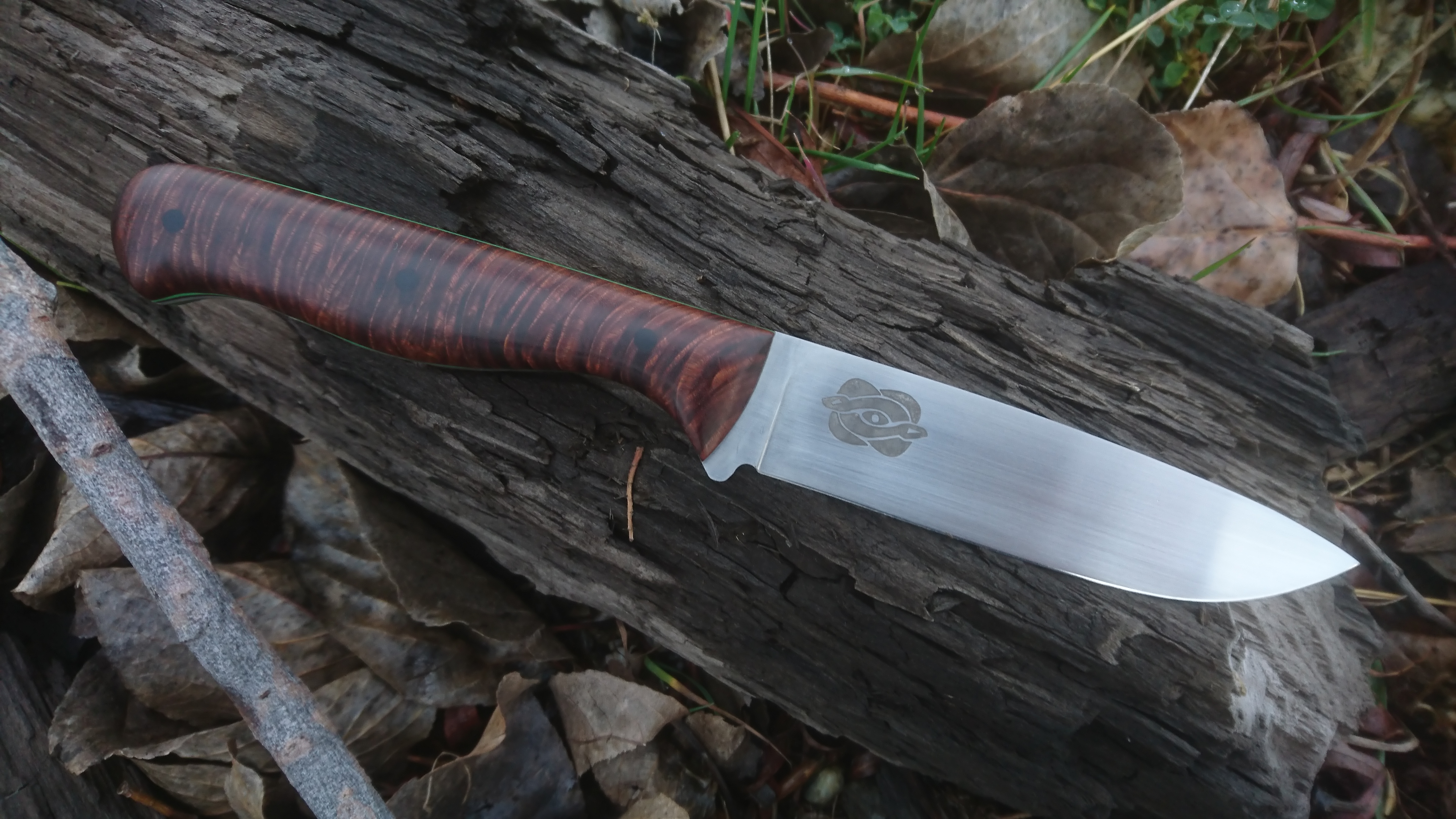 Name:  Mamba gidgee.JPG
Views: 896
Size:  2.78 MB