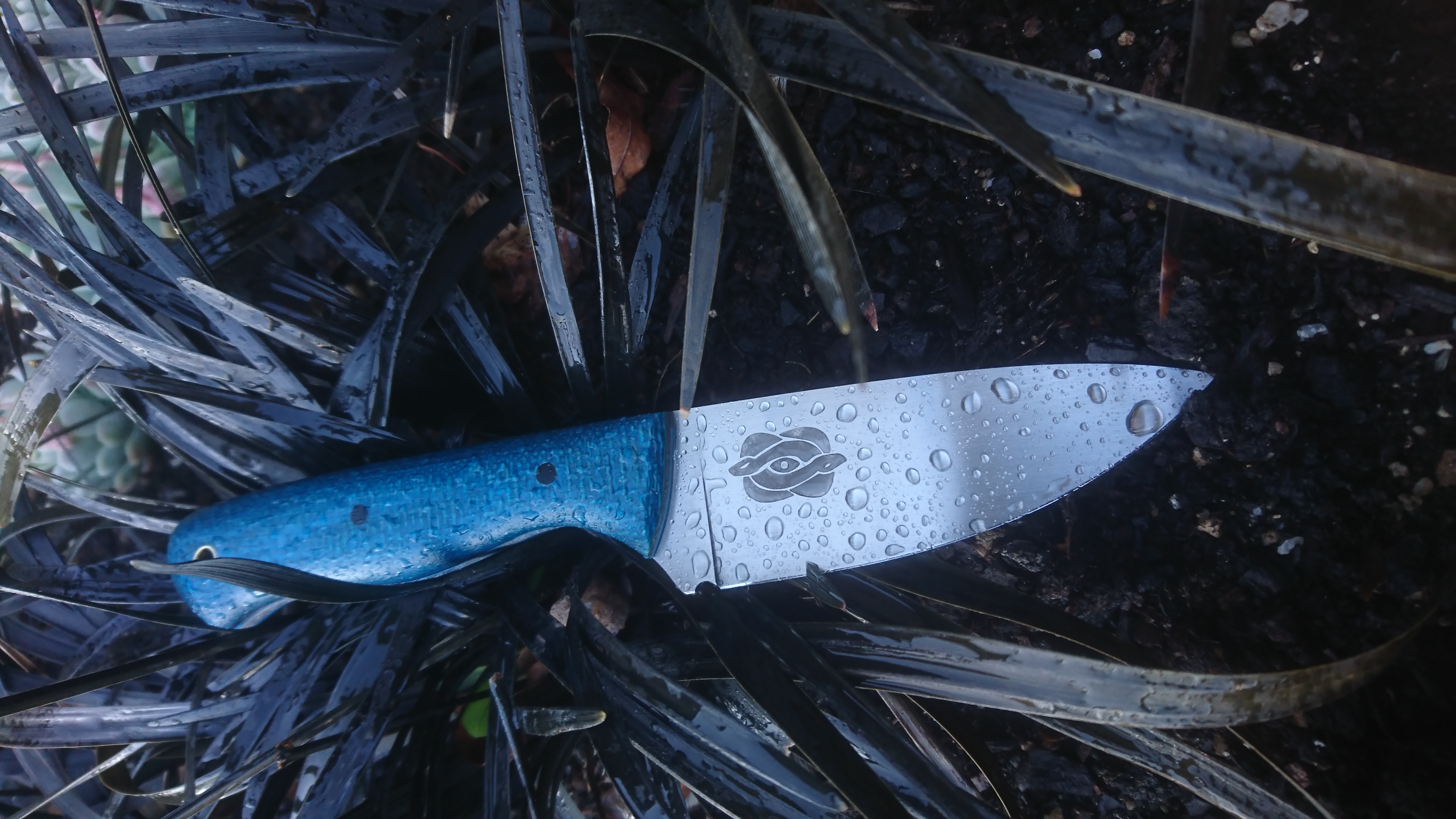 Name:  blue micarta krait 1.JPG
Views: 461
Size:  2.71 MB